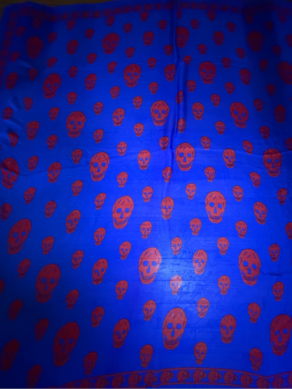 Alexander McQueen Blue Silk Scarf with Red Skull Print.